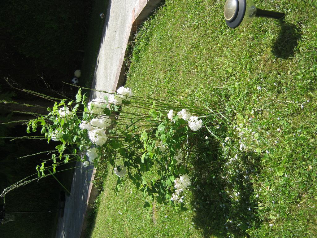Grand Appartement Dans Villa Avec Parking Quartier Residentiel ジョイニー 部屋 写真